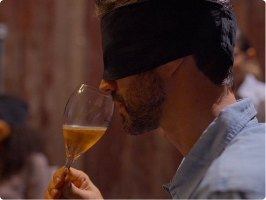 Desperte Seus Sentidos