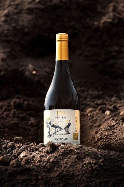 Garibaldi in Veritas