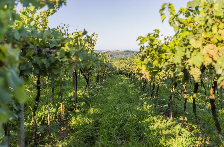 Roteiros imperdíveis na Serra Gaúcha